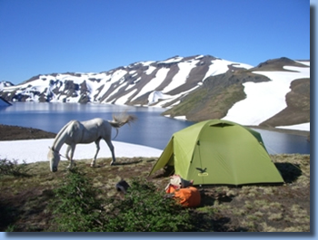 Rider and Horse in front of La Peineta mountain on the volcano trail ride in NP villarrica, Chile